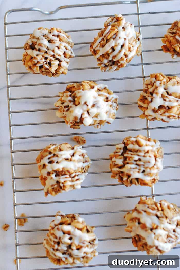 No-Bake Apple and Peanut Butter Cookies Recipe 3 No Bake Apple Peanut Butter Cookies close-up