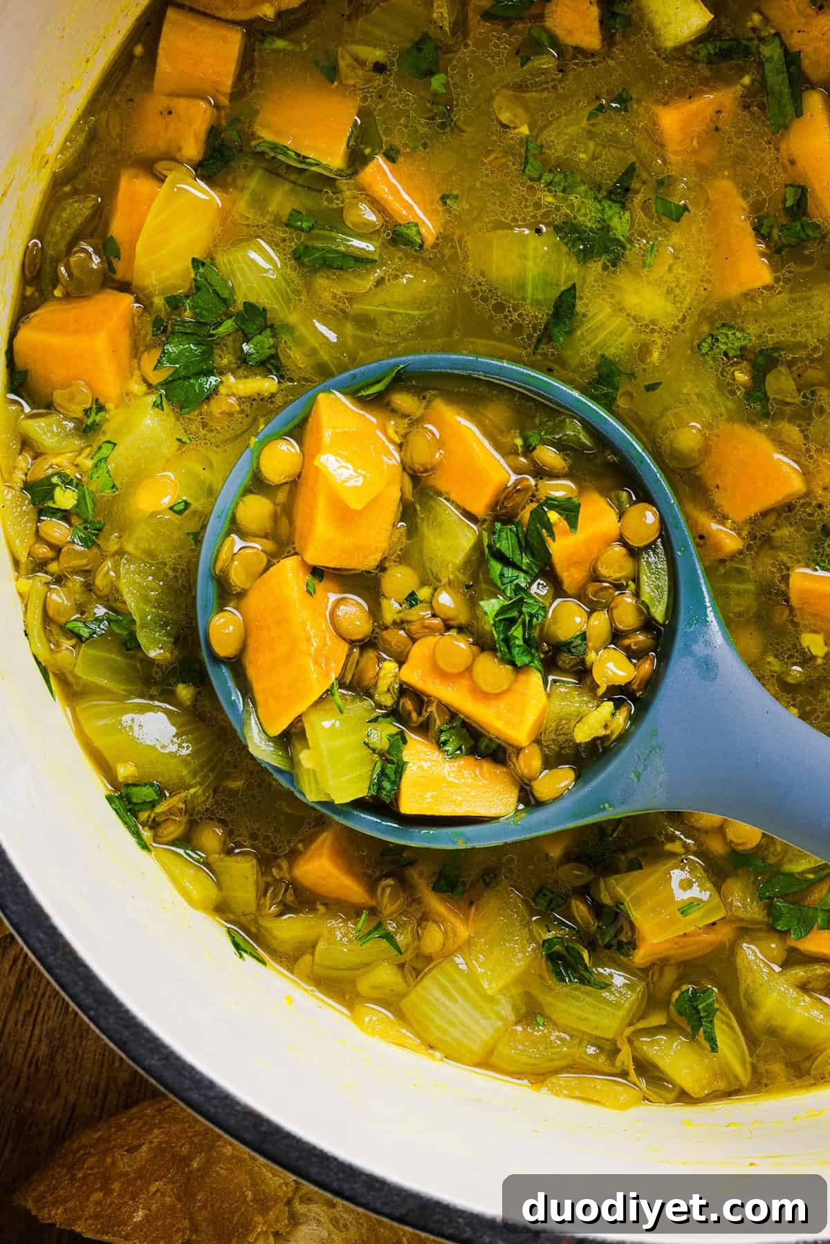 This hearty Lentil and Sweet Potato Stew is delicious, super filling and easily comes together in under 30 minutes for the perfect weeknight dinner! A nourishing meal made with pantry staples that is gluten-free, dairy-free and vegan.