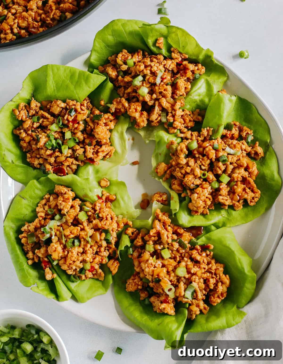 Inspired by PF Changs’ famous recipe, these Asian Turkey Lettuce Wraps are quick, easy to make and are full of so much flavor!  Perfect as an appetizer, side dish or even main course for a healthy meal the whole family will love!