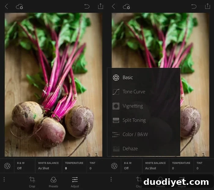 Easy Lightroom Tips and Tricks to achieve those beautiful food photos! eat-yourself-skinny.com