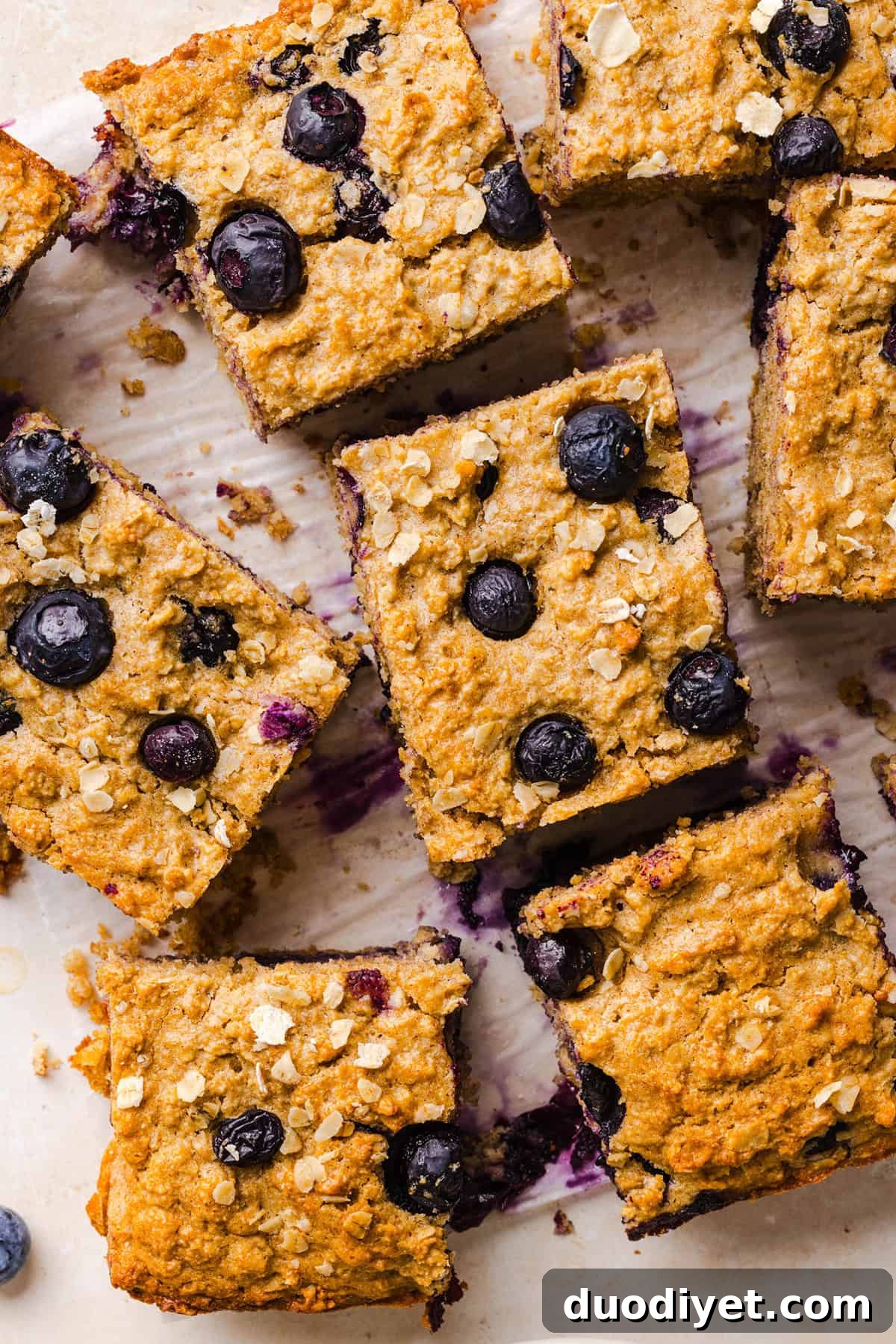 30 Back-to-School Lunch and Snack Recipes Kids Will Love 4 Blueberry Oatmeal Breakfast Bars