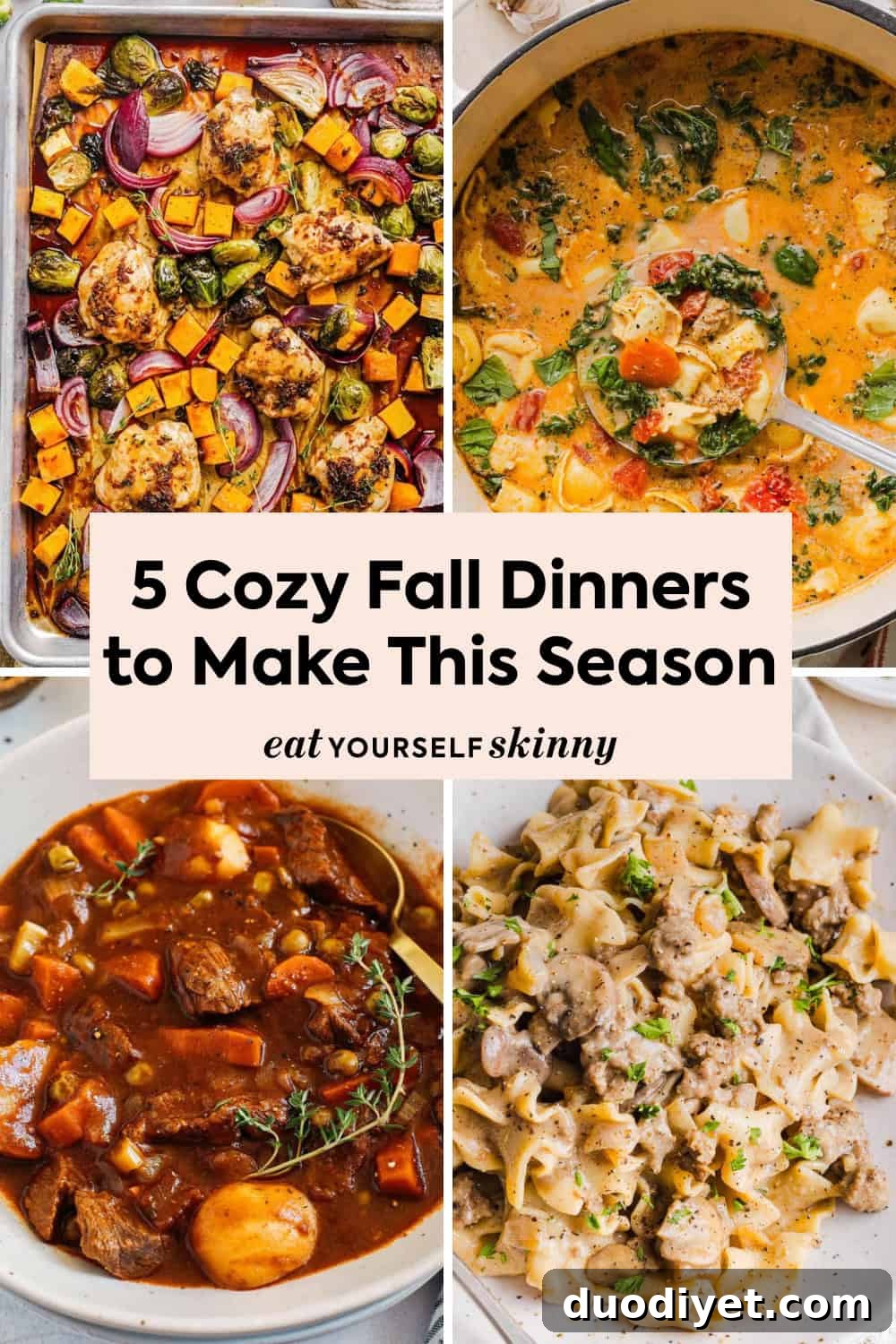 These 5 cozy fall dinners are healthy, easy and packed with comforting seasonal flavors. From creamy soups and hearty stews to an easy sheet pan dinner, these family-friendly meals are perfect for chilly fall nights.