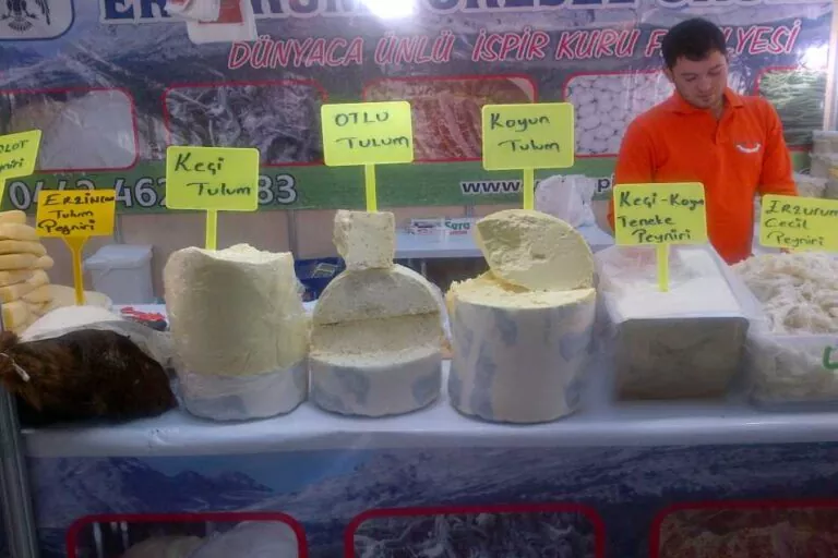 peynir çeşitleri 15 yöresel peynir ve kalorileri