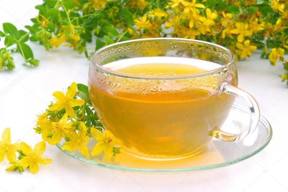 kantaron çayı faydaları nelerdir nasıl yapılır?