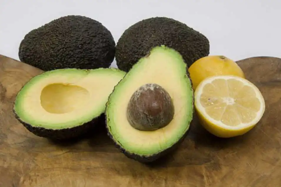 avokado besin değeri ve kalorisi