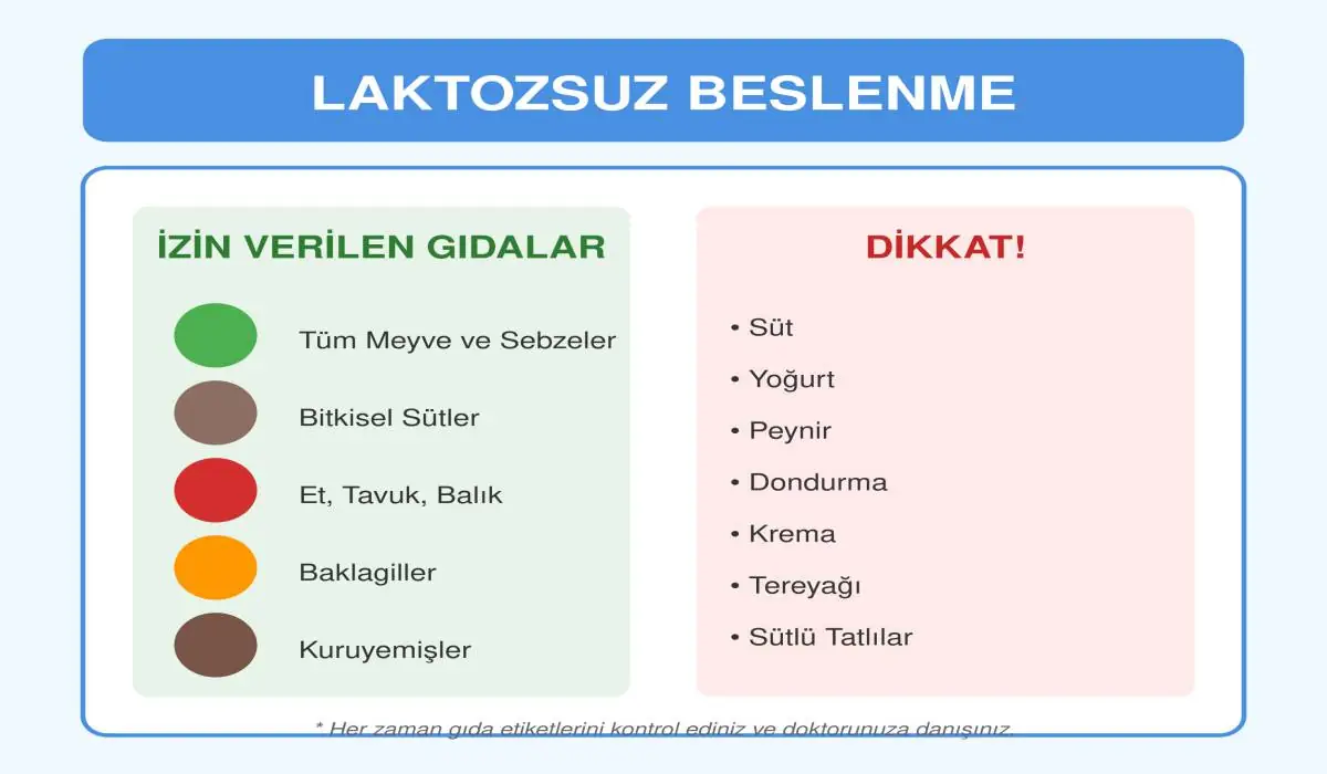 Laktozsuz Beslenme: Sağlıklı ve Lezzetli Bir Yaşam Rehberi