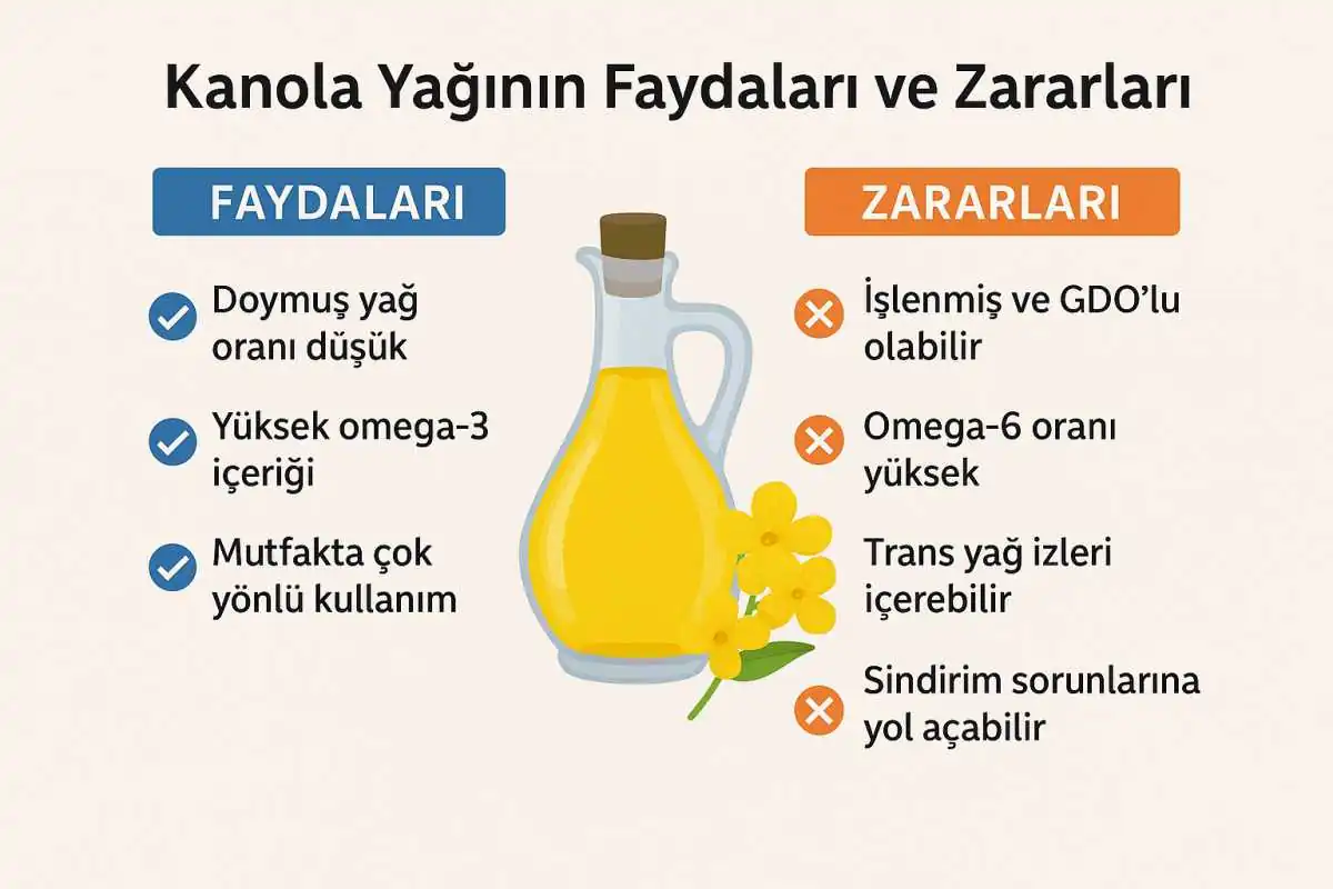 kanola-yagi-saglikli-mi-diyette kanola yağı sağlıklı mı?
