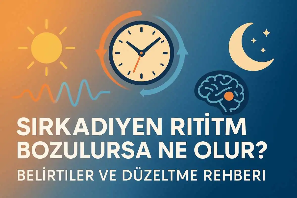Sirkadiyen Ritim Bozulursa Ne Olur? Belirtiler ve Düzeltme Rehberi