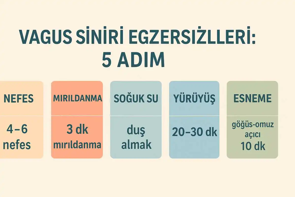 vagus-siniri-egzersizleri vagus siniri ne i̇şe yarar?